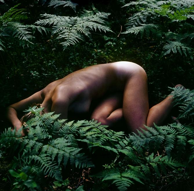 Naked female body in ferns.